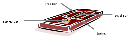 mousetrap