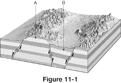 nar001-1.jpg