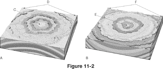 nar002-1.jpg