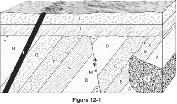 nar002-1.jpg
